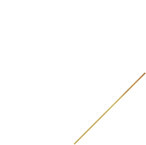 Lisa Osteen Comes